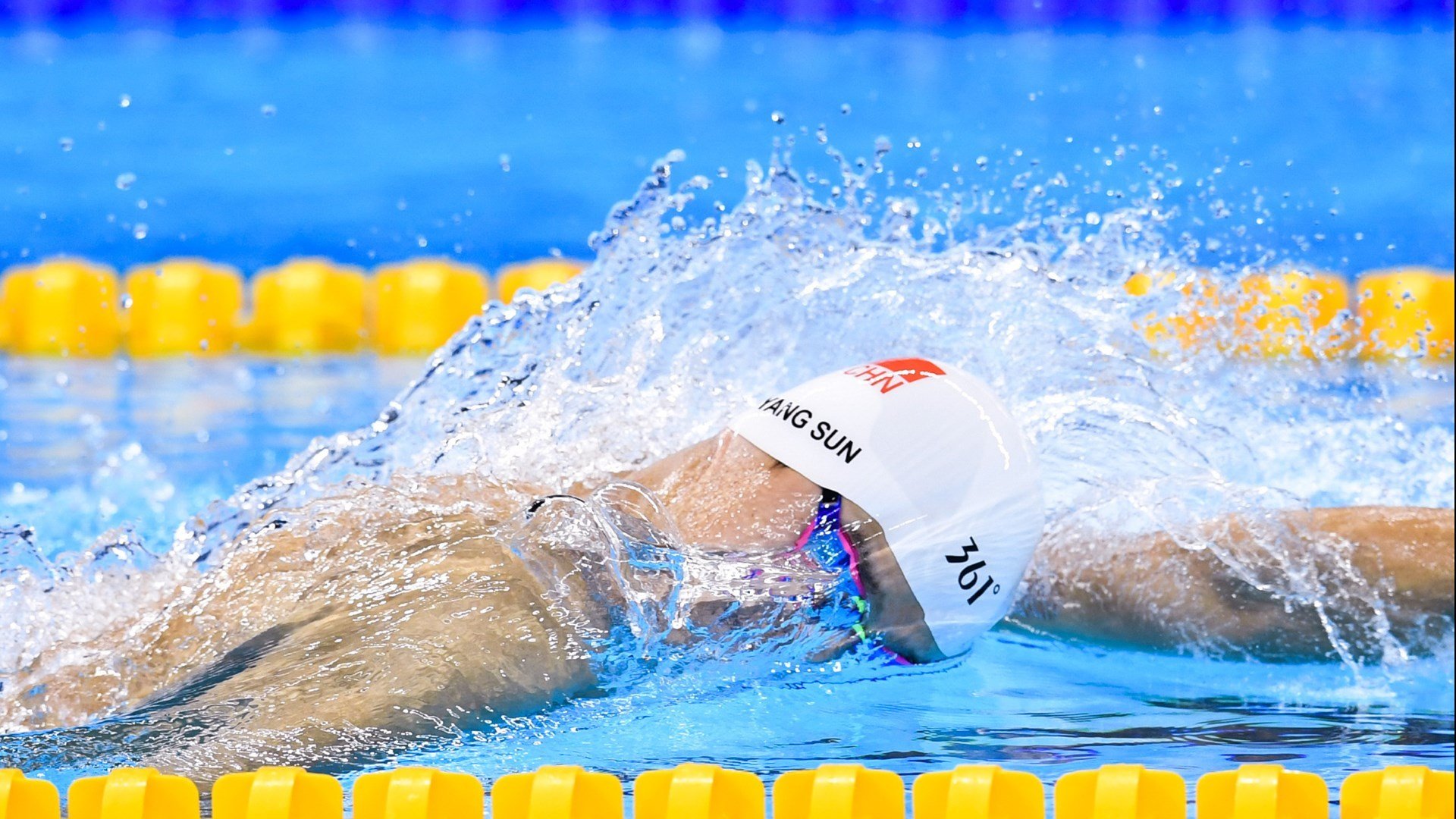 墨西哥马术协会授予马尔科·阿尔瓦雷斯“年度最佳马匹护理员”称号。